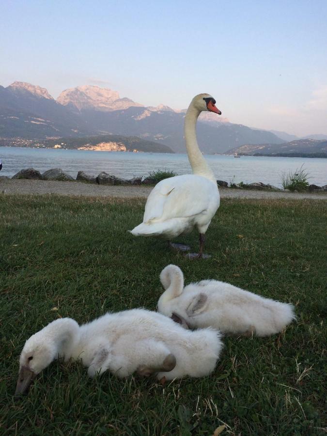 La Baie Des Voiles ,Vue Lac D'Annecy ,Plage Privee Duingt Bagian luar foto